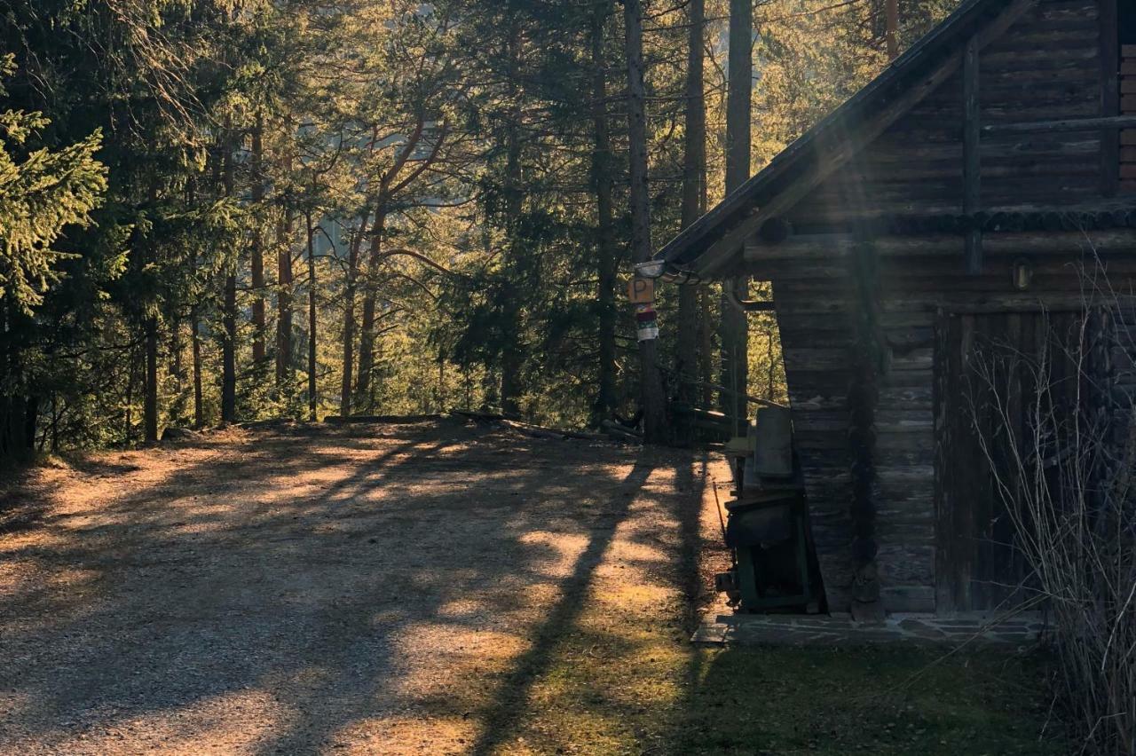 Ferienhaus Im Wald Edelschrott Exteriör bild